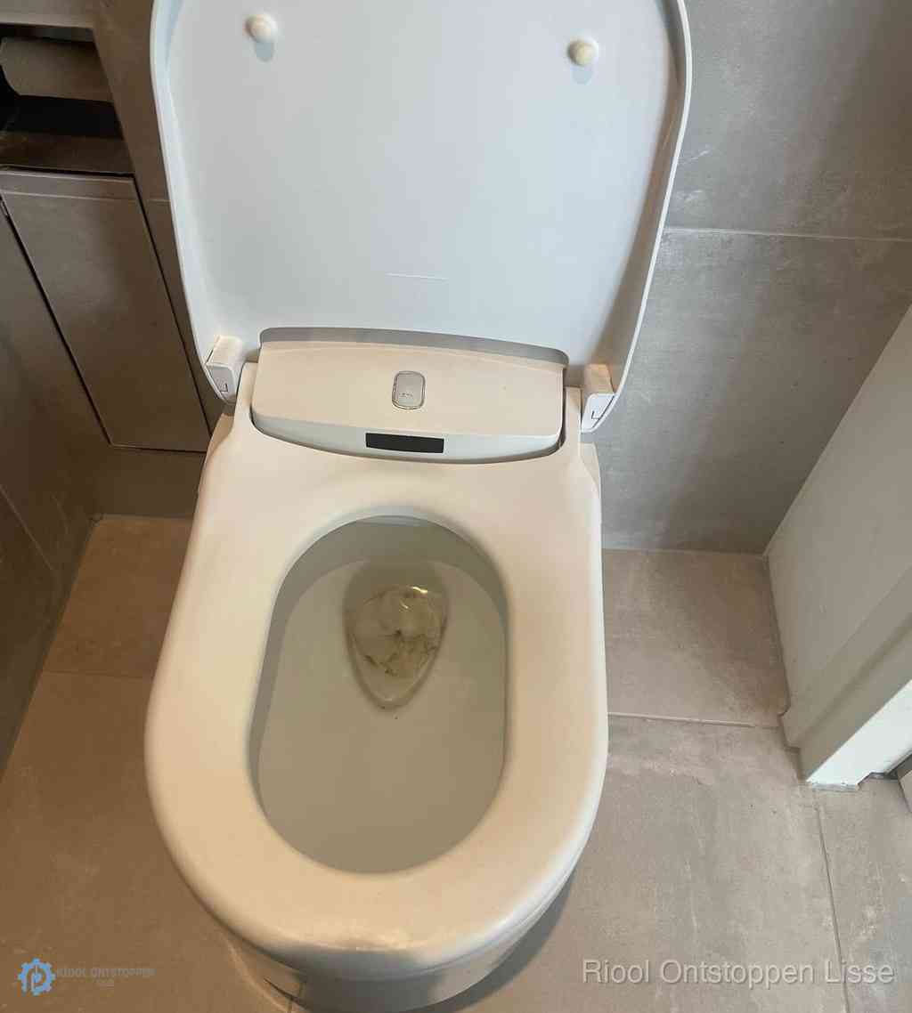 Toilet Ontstoppen Lisse